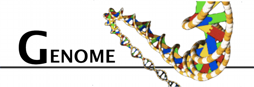 DNA6.png