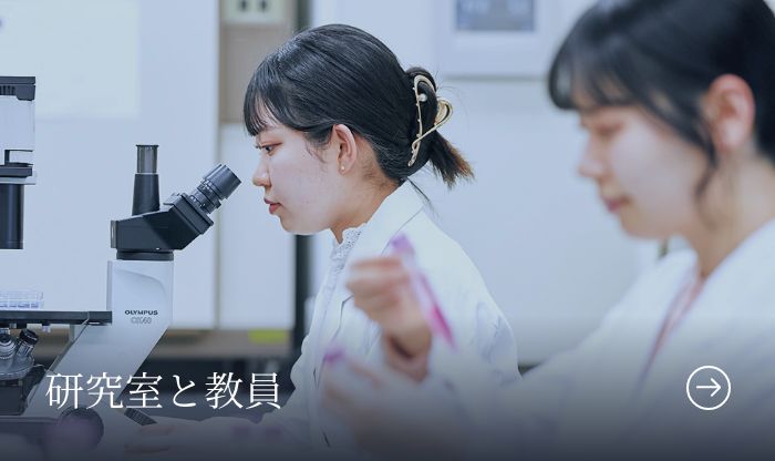 研究室と教員