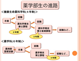 健康生命薬科学科の進路 就職 武庫川女子大学 薬学部